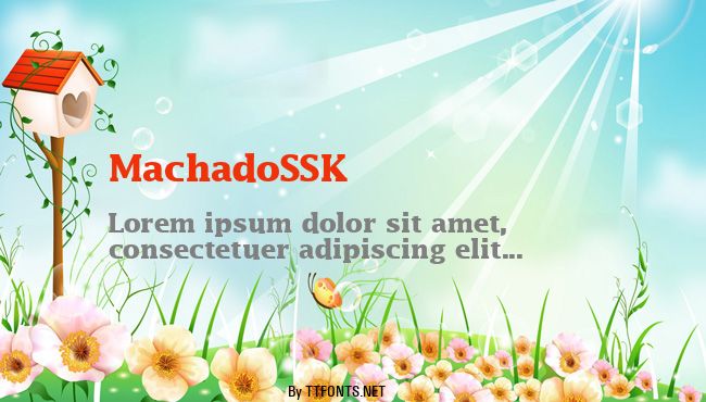 MachadoSSK example