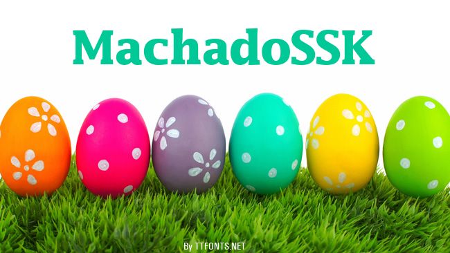 MachadoSSK example