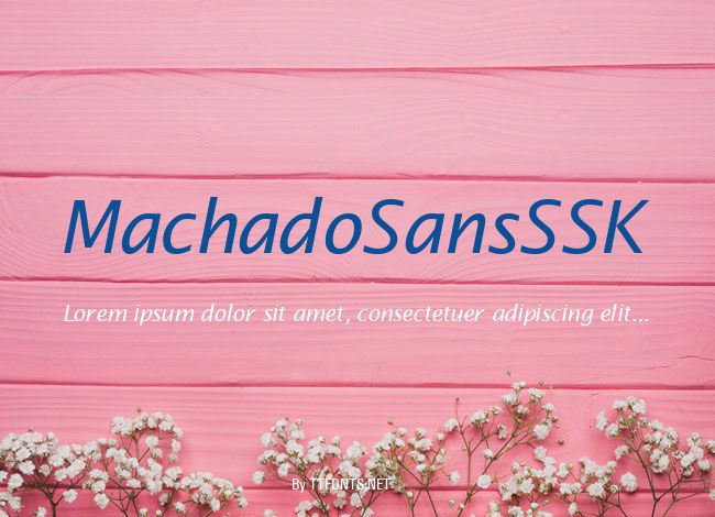 MachadoSansSSK example