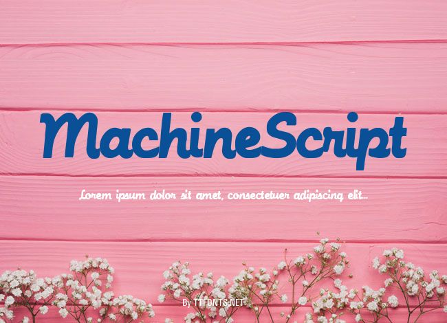 MachineScript example