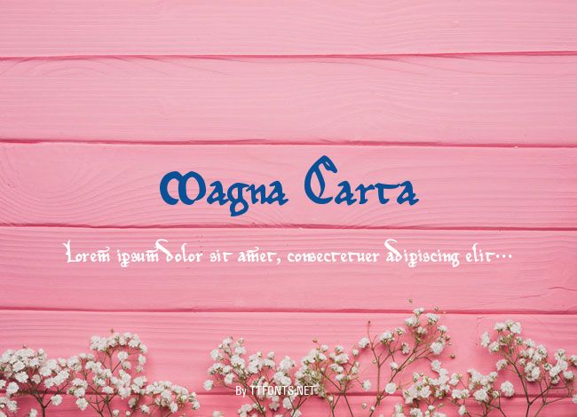 Magna Carta example