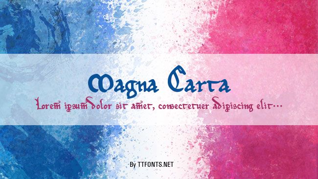 Magna Carta example