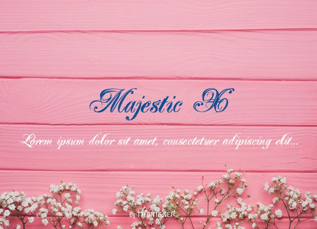 Majestic X example