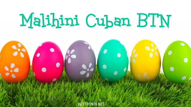 Malihini Cuban BTN example