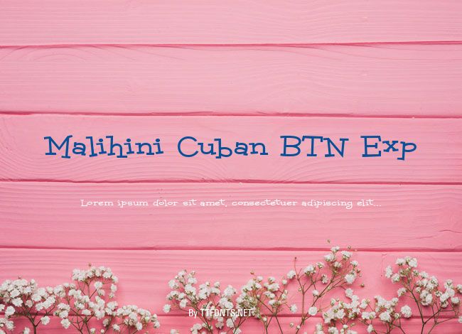 Malihini Cuban BTN Exp example