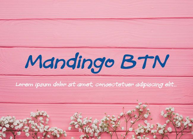 Mandingo BTN example