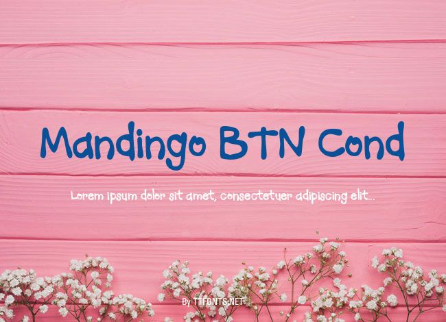 Mandingo BTN Cond example