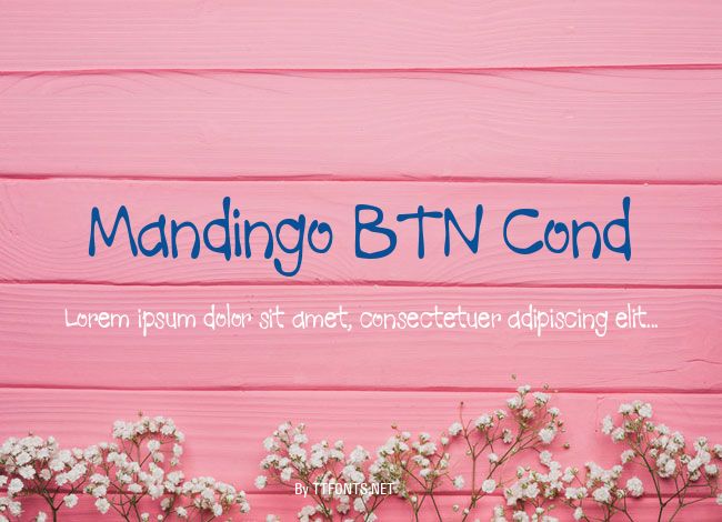 Mandingo BTN Cond example