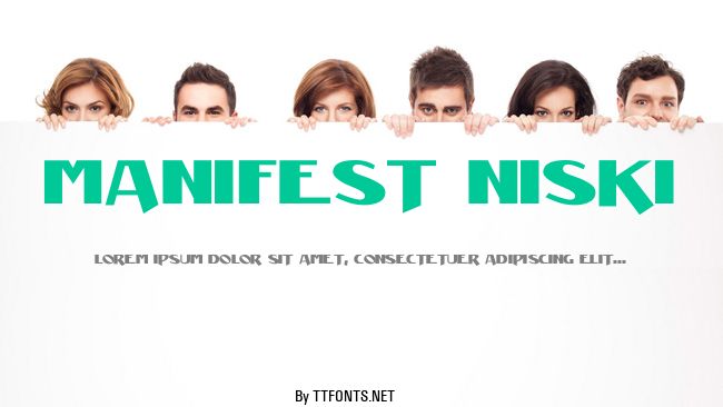 Manifest Niski example