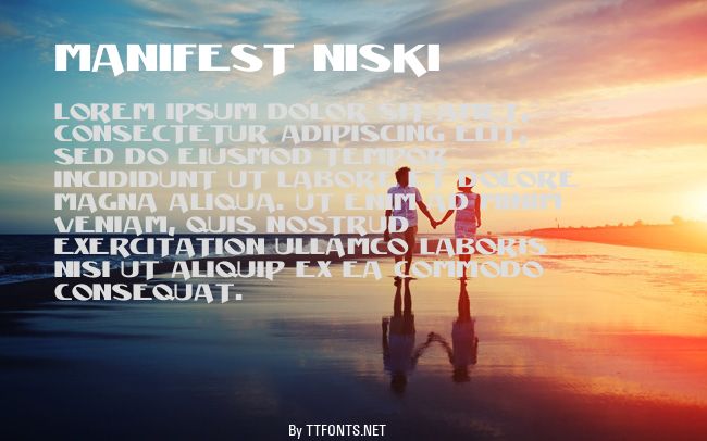 Manifest Niski example
