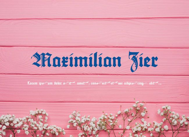 Maximilian Zier example