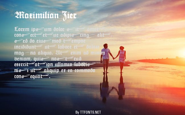 Maximilian Zier example