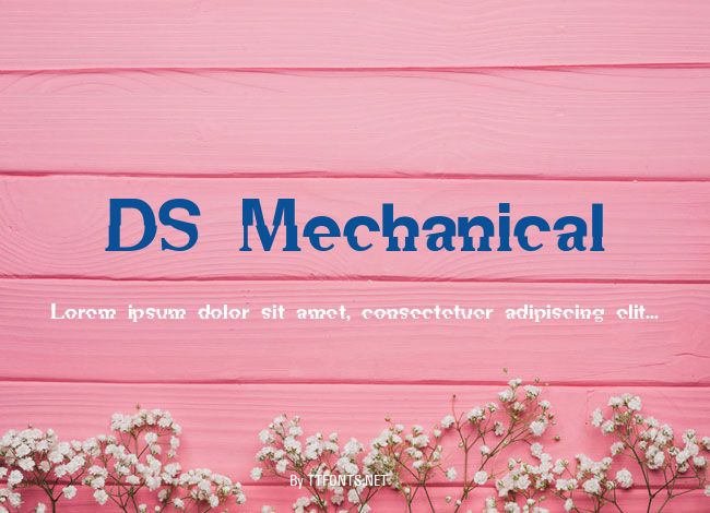 DS Mechanical example