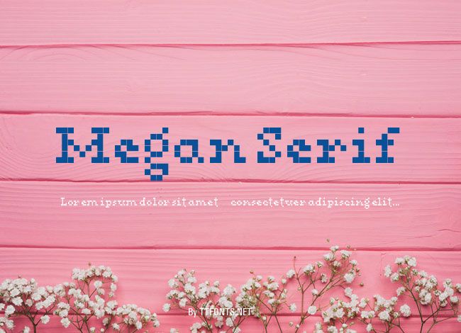 Megan Serif example