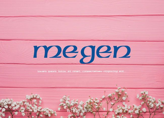 Megen example