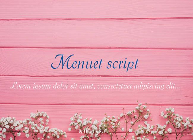 Menuet script example