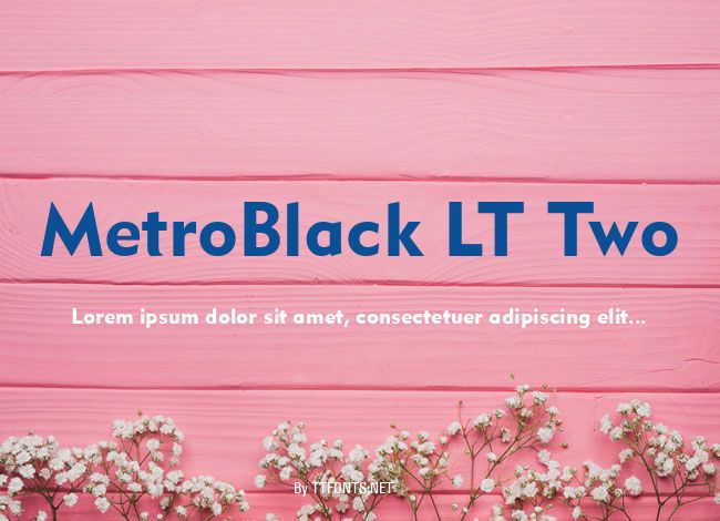 MetroBlack LT Two example