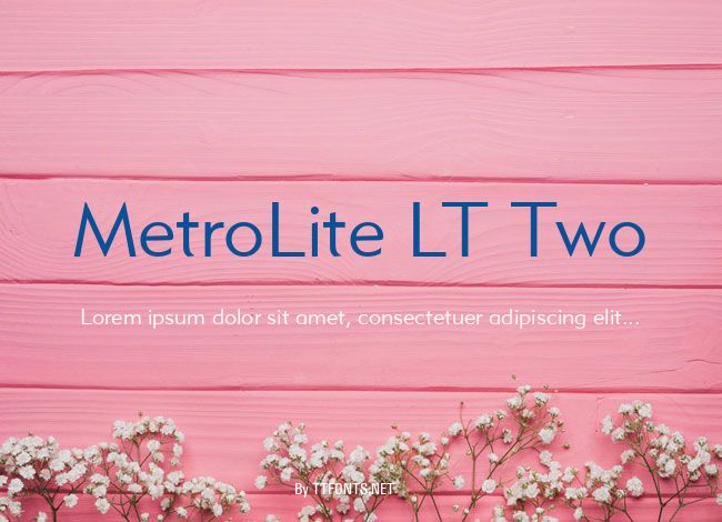 MetroLite LT Two example