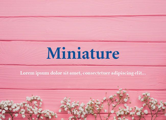 Miniature example