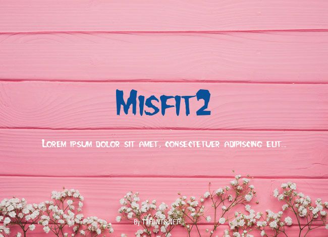 Misfit2 example