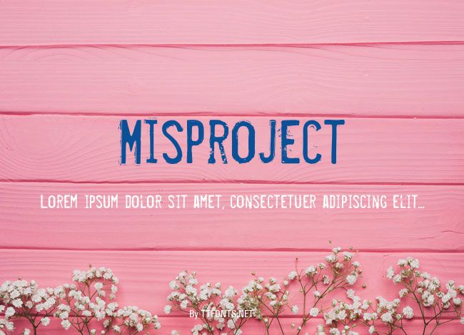 Misproject example