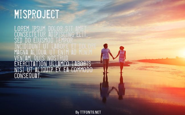 Misproject example