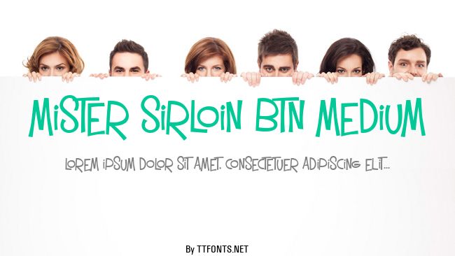 Mister Sirloin BTN Medium example