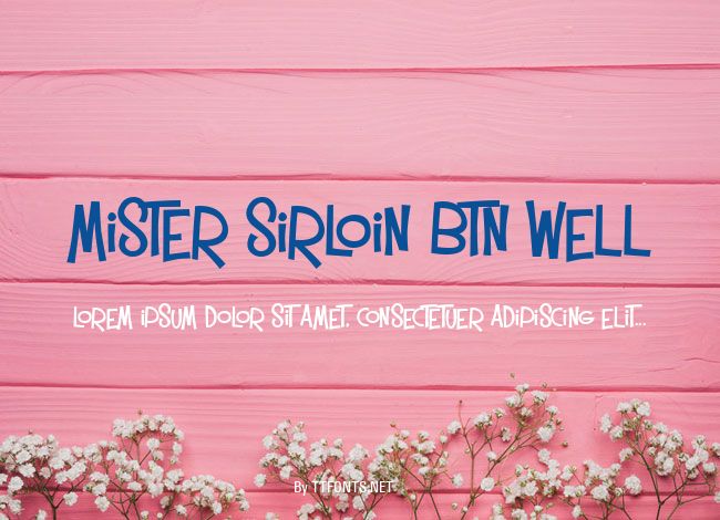 Mister Sirloin BTN Well example