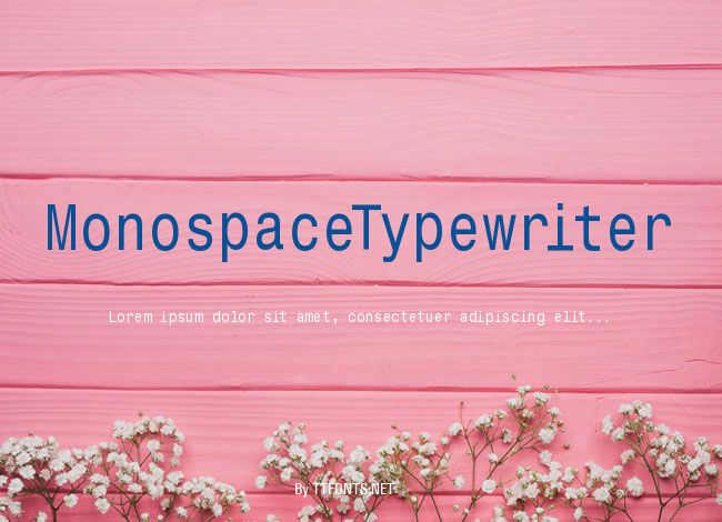 MonospaceTypewriter example