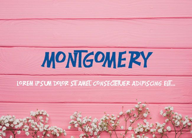 Montgomery example