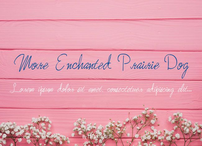 More Enchanted Prairie Dog example