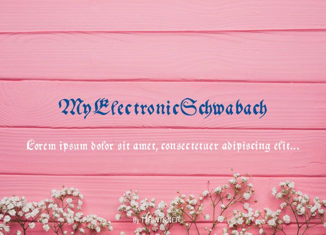 MyElectronicSchwabach example