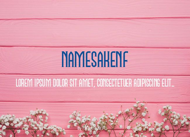 NamesakeNF example