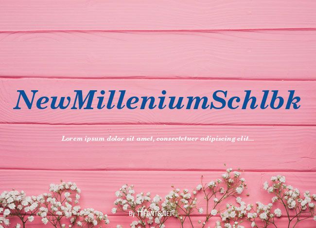 NewMilleniumSchlbk example