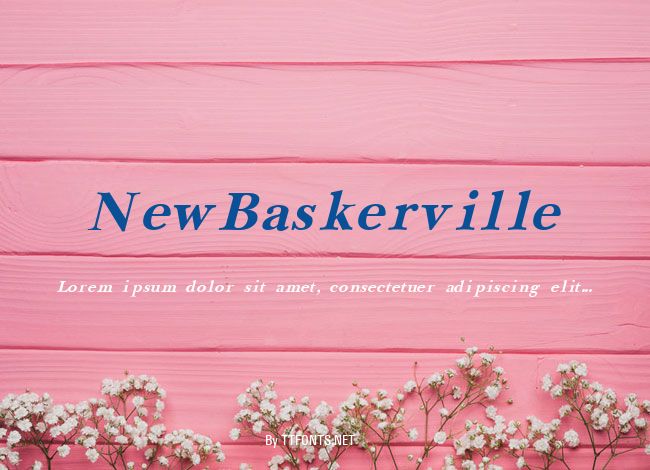 NewBaskerville example