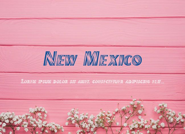 New Mexico example