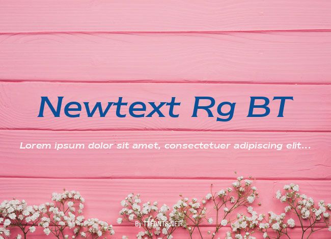Newtext Rg BT example