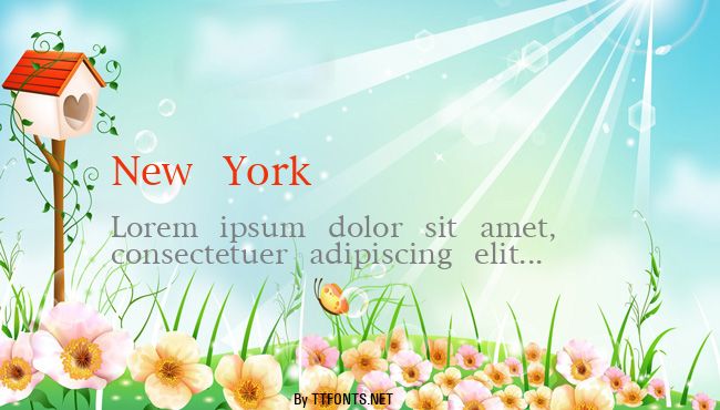 New York example