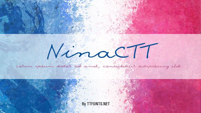 NinaCTT example