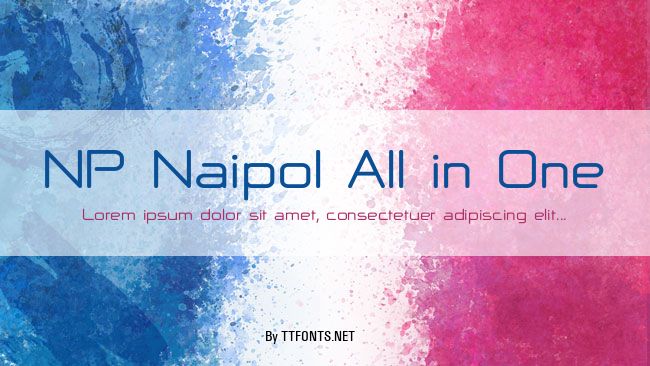 NP Naipol All in One example
