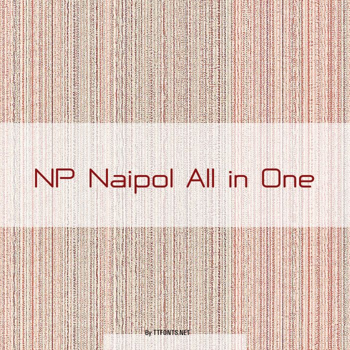 NP Naipol All in One example
