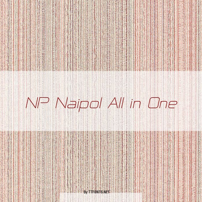 NP Naipol All in One example