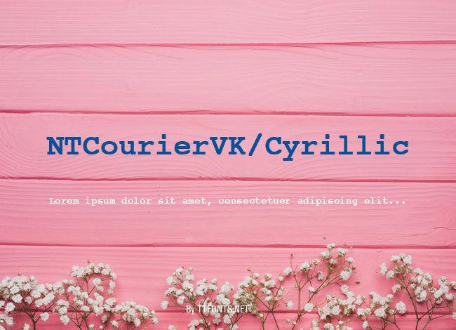 NTCourierVK/Cyrillic example
