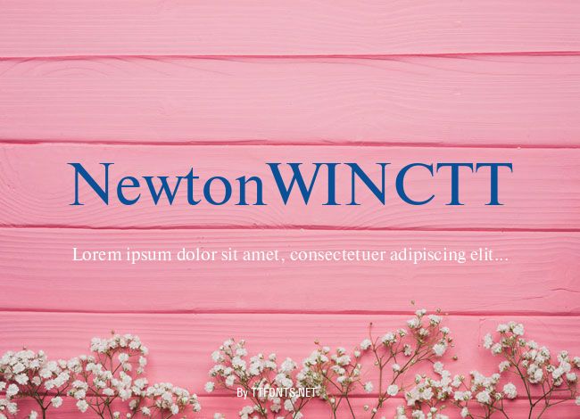 NewtonWINCTT example