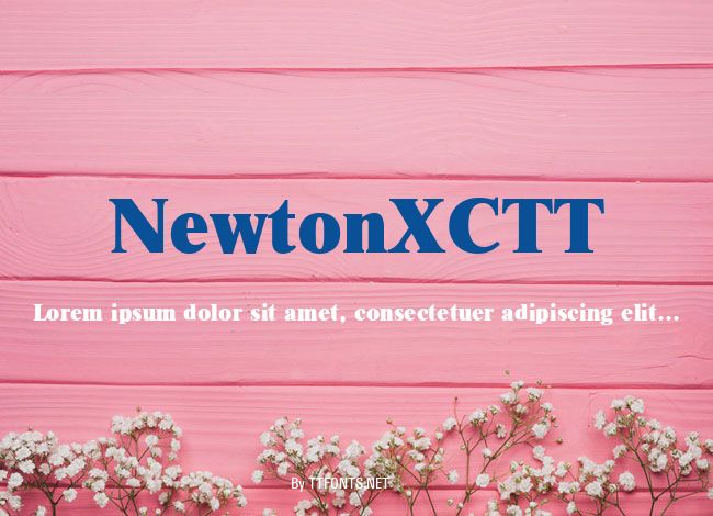 NewtonXCTT example