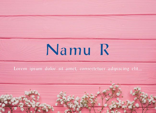 Namu R example