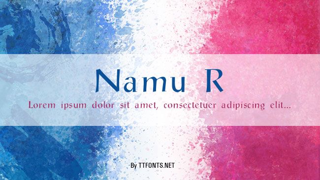 Namu R example