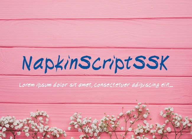 NapkinScriptSSK example