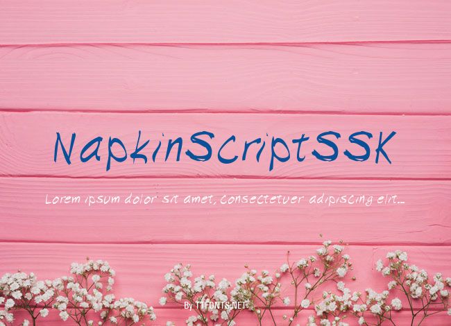 NapkinScriptSSK example