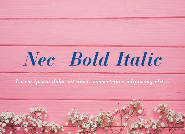 Nec  Bold Italic example